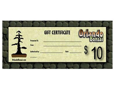 $10 Gift Certificate