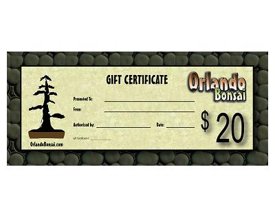 $20 Gift Certificate