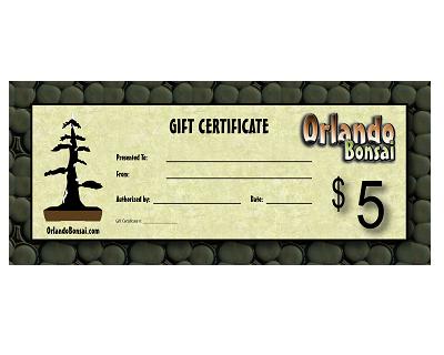 $5 Gift Certificate