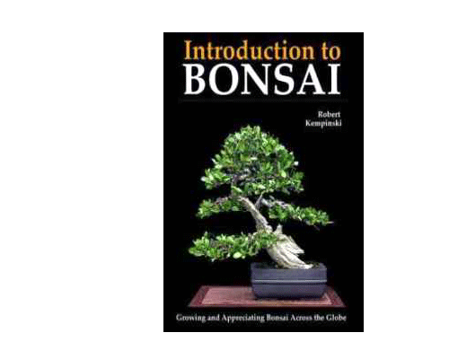 INTRODUCTION TO BONSAI
