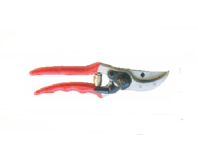 Novice Grade European Style Pruner