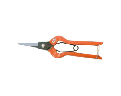 LIGHT DUTY THINNING SHEARS