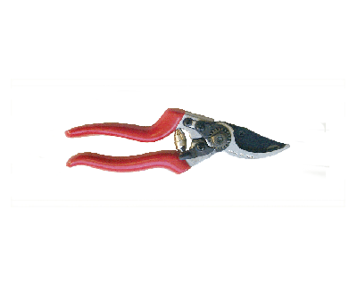Intermediate Grade By-Pass Pruner