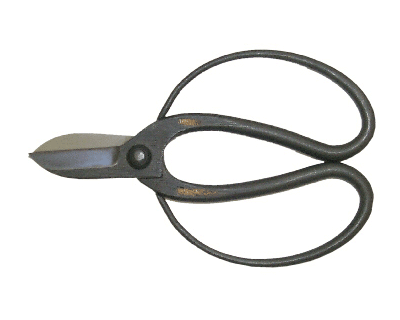 Koryu Shears
