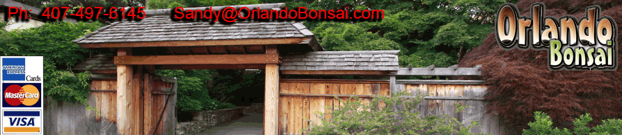 Orlando Bonsai Store